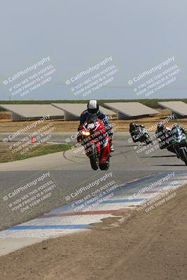 media/Sep-10-2023-Pacific Track Time (Sun) [[44210541ad]]/Group B/1220pm (Wheelie Bump)/
